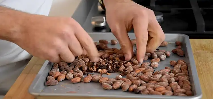 How Many Cocoa Beans to Make a Pound of Chocolate