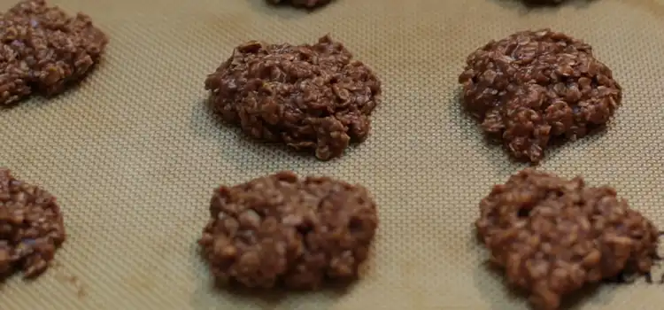 no-bake-cookies-without-refined-sugar