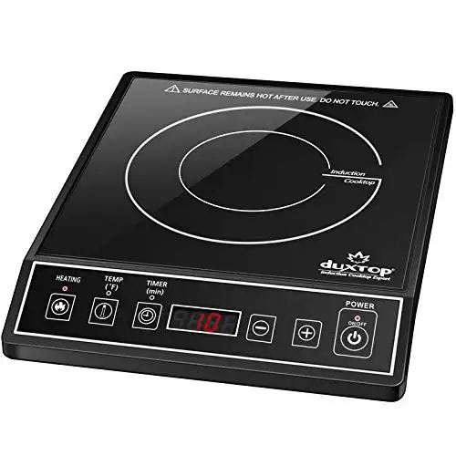 Best Portable Induction Burners